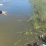 Под Астраханью двое ребят утонули в реке на глазах у приятелей