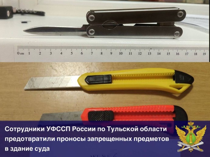 Туляки пытались пронести ножи в суды
