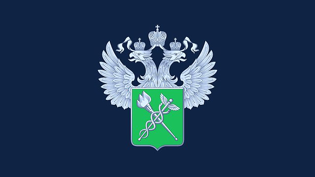 Вячеслав Володин поздравил таможенников с профессиональным праздником Вячеслав Володин поздравил таможенников с профессиональным праздником