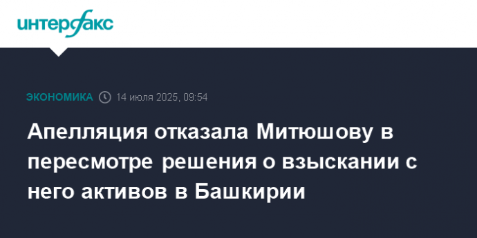 Апелляция отказала Митюшову в пересмотре решения о взыскании с него активов в Башкирии