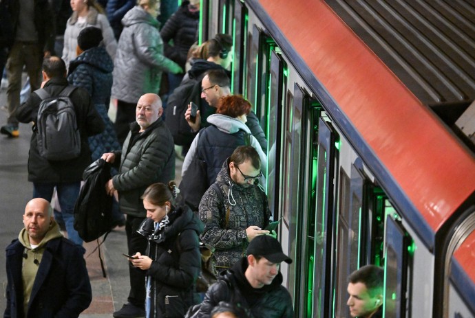 В праздники пассажиры забывали новогоднюю одежду для кошки и набор для гадания