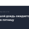 Небольшой дождь ожидается в Москве в пятницу