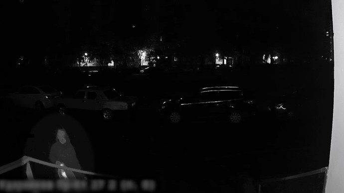 Конфликт из-за кошек: жители дома на проспекте Ударников рассказали о животных, погибших от рук соседки Конфликт из-за кошек: жители дома на проспекте Ударников рассказали о животных, погибших от рук соседки