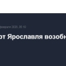 Аэропорт Ярославля возобновил работу
