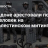 В Лондоне арестовали почти 500 человек на пропалестинском митинге