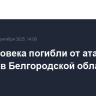 Два человека погибли от атак дронов в Белгородской области