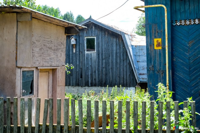 Животные «из ада»: куда делись десятки четвероногих узников? Животные «из ада»: куда делись десятки четвероногих узников?