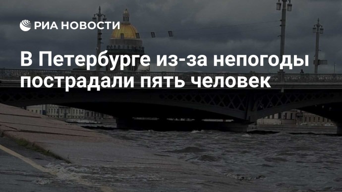 В Петербурге из-за непогоды пострадали пять человек