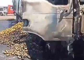 Прокуратура начала проверку после пожара у пункта пропуска Кани-Курган