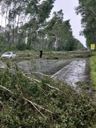 В Ярославле остановилось движение электротранспорта из-за непогоды