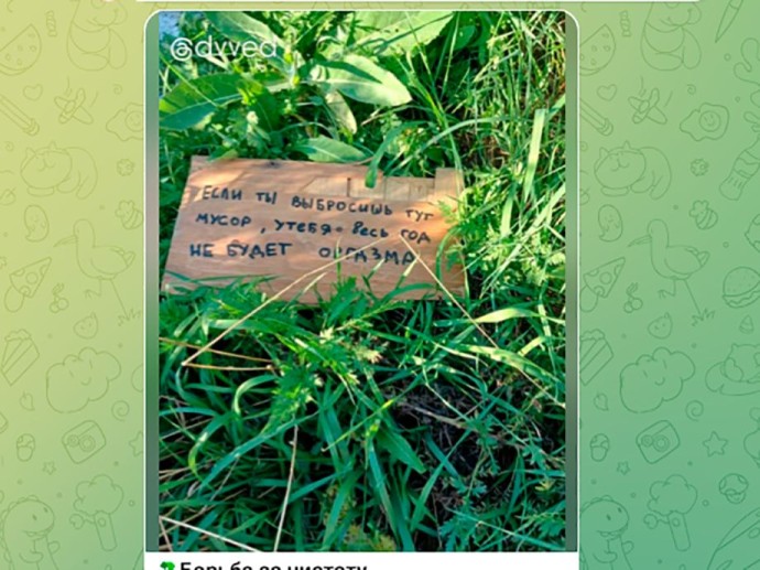 Намусоришь – оргазма не будет: оригинальный подход к экологии в Приморье