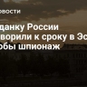 Гражданку России приговорили к сроку в Эстонии за якобы шпионаж