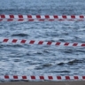 Времена. Русская армия завершила штурм Парижа, в Саратовской области вводится пропускной режим