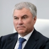 Володин направил в профильный комитет проект, ужесточающий правила для мигрантов