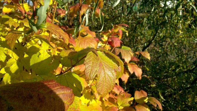 В Башкирии погода сильно удивит