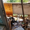 В Уфе в квартире разорвало углекислотный баллон