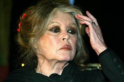 Раскрыта судьба основанного Брижит Бардо фонда по защите животных после ее смерти