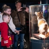 31 августа в Музее космонавтики начнется частичная модернизация экспозиции