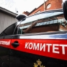 Жительница Кемеровской области обвиняется в участии в экстремистской организации «Союз Славянских Сил Руси»