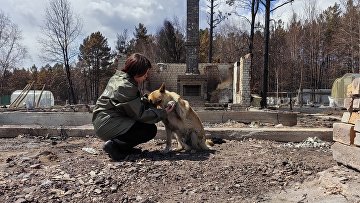 НФ помогает в борьбе с лесными пожарами в Забайкалье и Иркутской области