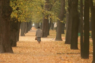 Эпидемиолог заявил о замедлении роста продолжительности жизни