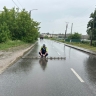 В Мордовии судят водителя, который отвлекся на свинью в салоне и насмерть сбил человека