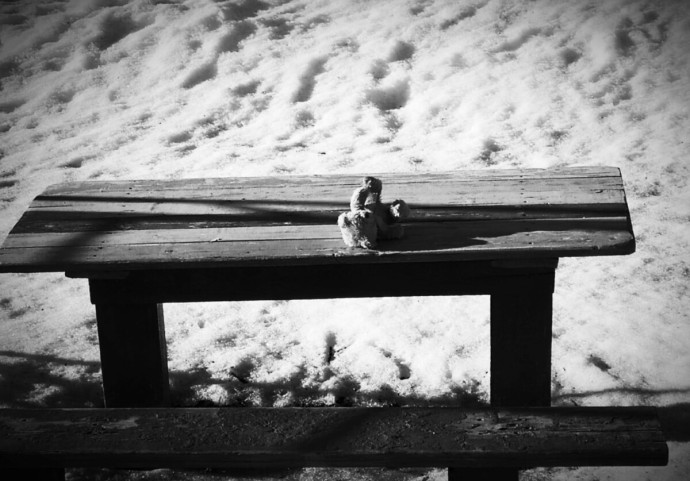 Костромская полиция обещает миллион рублей тому, что поможет найти убийцу ребенка