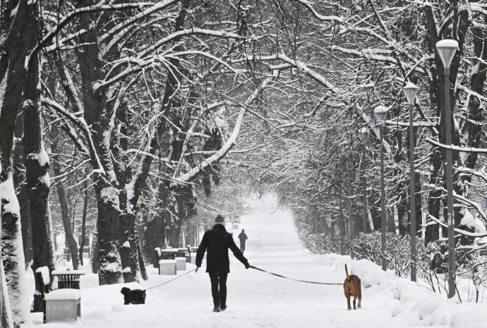 Позднякова: Зима может прийти в Москву во второй половине ноября Позднякова: Зима может прийти в Москву во второй половине ноября