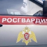 Росгвардия: нетрезвого дебошира задержали на пляже в Дивноморском