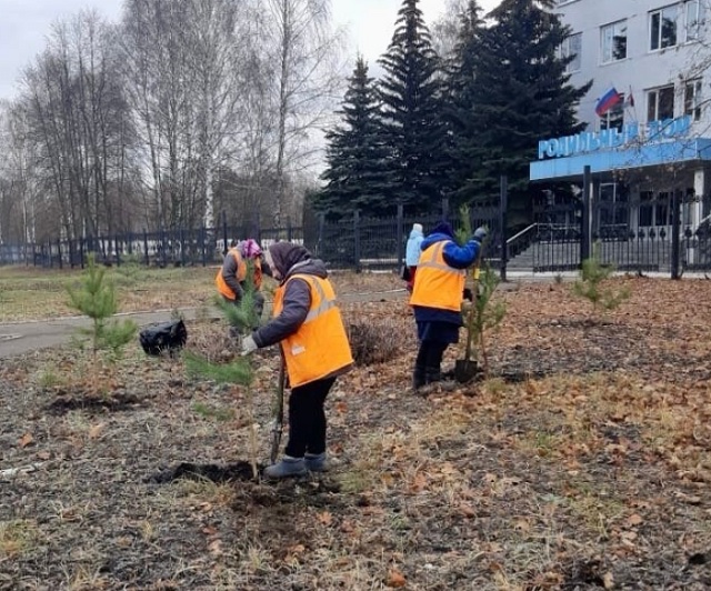 В Саранске высаживают деревья на аллеях и вдоль городских улиц В Саранске высаживают деревья на аллеях и вдоль городских улиц