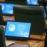 Карелова: в портфеле Совета Евразийского женского форума 35 проектов