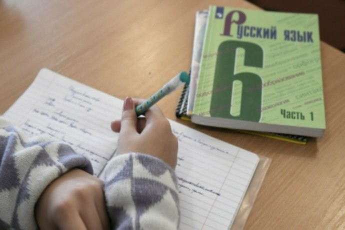 В Свердловской области 80% детей мигрантов не справились с тестом на знание русского языка