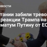 В Британии забили тревогу из-за реакции Трампа на ультиматум Путину от ЕС