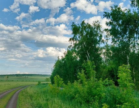 На следующей неделе в Башкирии станет комфортнее