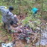Более 260 несанкционированных свалок ликвидировали в Ярославской области с начала года
