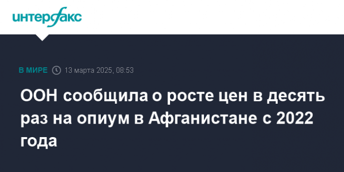 ООН сообщила о росте цен в десять раз на опиум в Афганистане с 2022 года