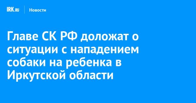 Главе СК РФ доложат о ситуации с нападением собаки на ребенка в Иркутской области Главе СК РФ доложат о ситуации с нападением собаки на ребенка в Иркутской области