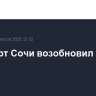 Аэропорт Сочи возобновил работу