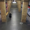 Дептранс назвал причину остановки движения на Сокольнической линии метро