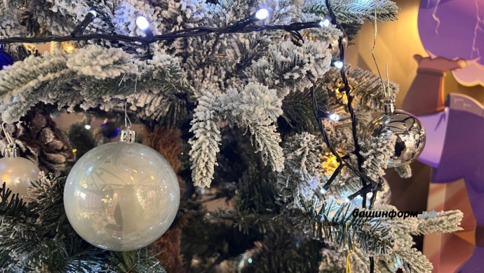 В МЧС Башкирии рассказали, как елки и гирлянды могут испортить праздник В МЧС Башкирии рассказали, как елки и гирлянды могут испортить праздник