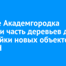 В роще Академгородка спилили часть деревьев для постройки новых объектов СО РАН