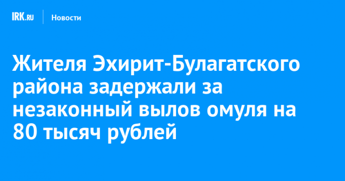 Жителя Эхирит-Булагатского района задержали за незаконный вылов омуля на 80 тысяч рублей