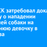 Глава СК затребовал доклад по делу о нападении бродячей собаки на 13-летнюю девочку в Маркова