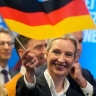 Германия — AfD — впереди планеты всей