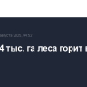 Почти 14 тыс. га леса горит в Якутии