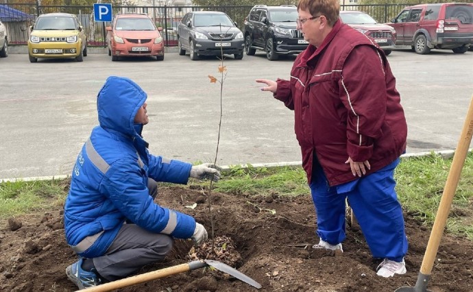 Кленовая аллея украсит Центр скорой помощи в Южно-Сахалинске