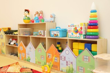 Глава СК взял под свой контроль дело об избиении младенца матерью