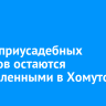 Шесть приусадебных участков остаются подтопленными в Хомутово
