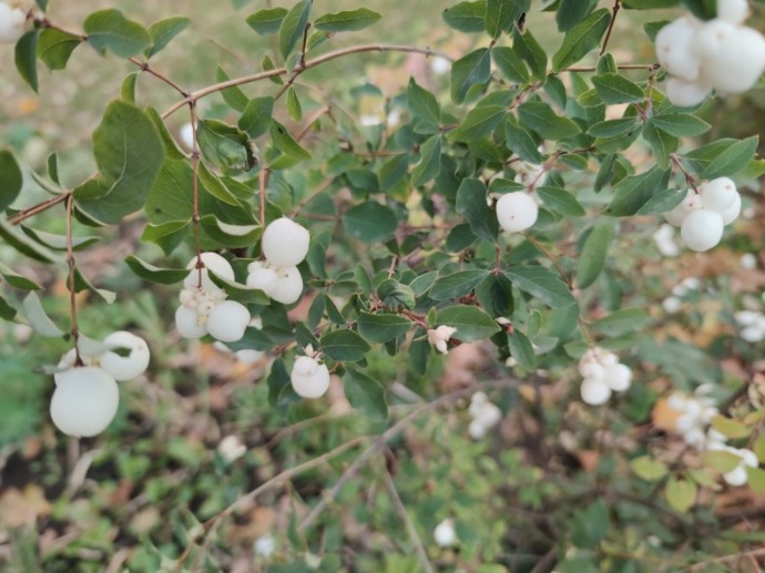 На Башкирию обрушатся снегопады На Башкирию обрушатся снегопады