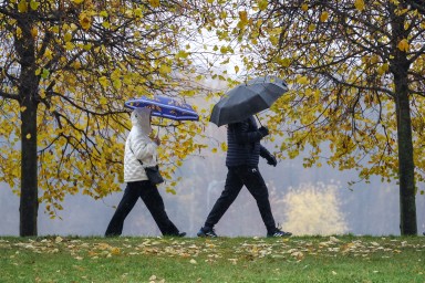 Синоптик Ильин: В Москве 31 октября может выпасть до 10 мм осадков